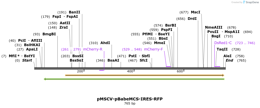 41557_map