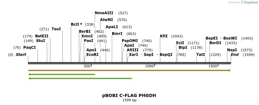 415581_map