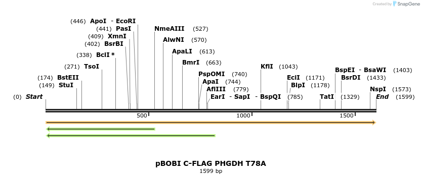415583_map