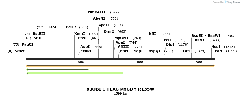 415584_map