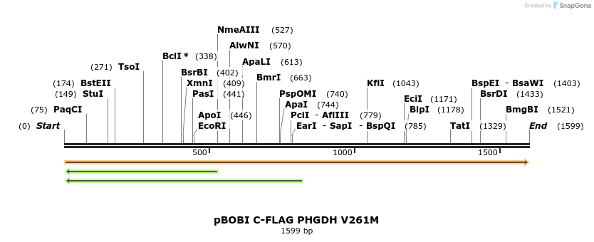 415585_map