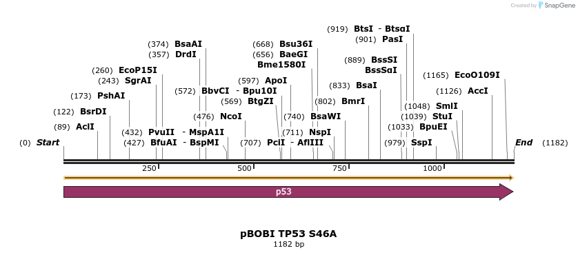 415587_map