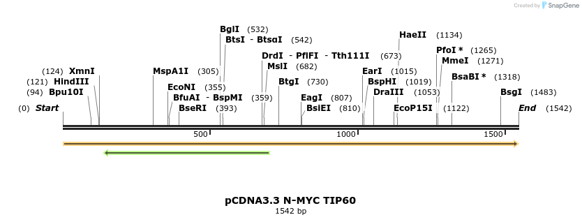 415589_map