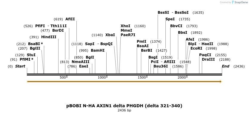415591_map
