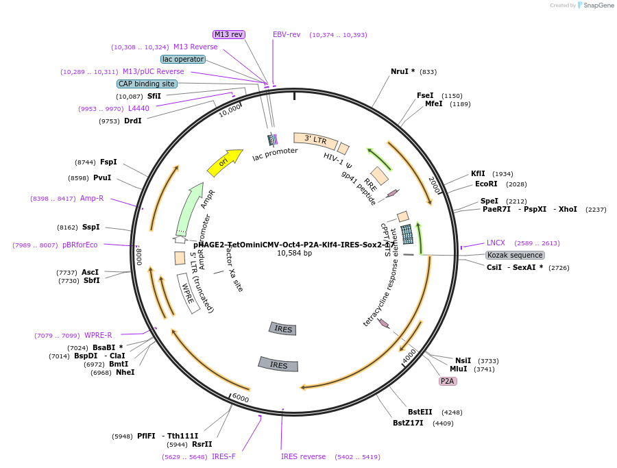 415602_map