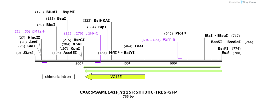 41561_map