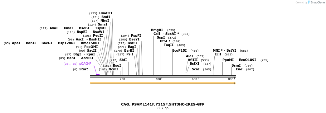 41562_map