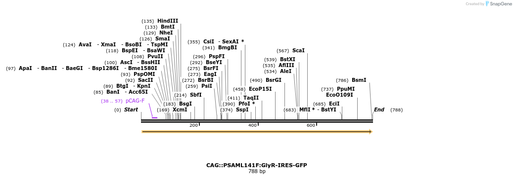 41564_map