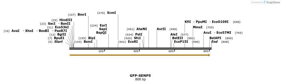 41572_map