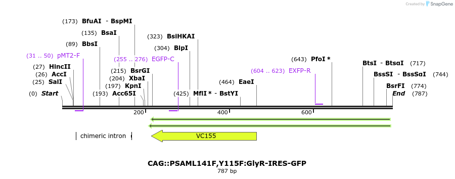 41573_map