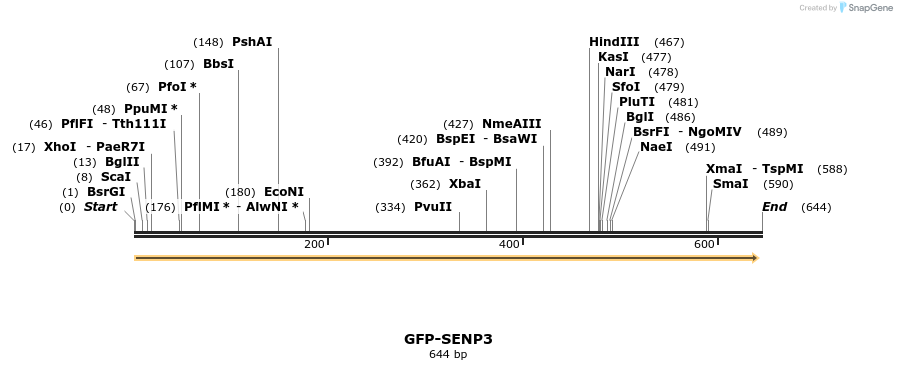 41576_map