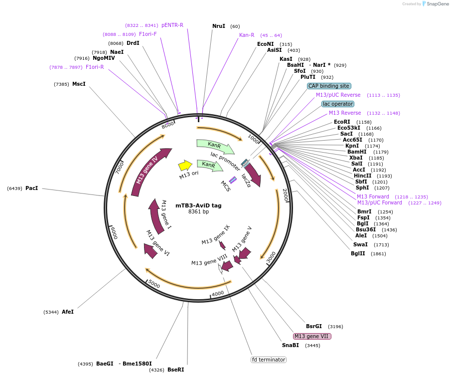 415800_map