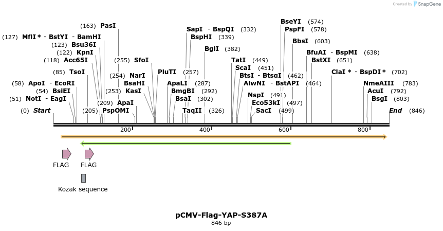 41584_map