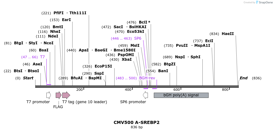 41585_map
