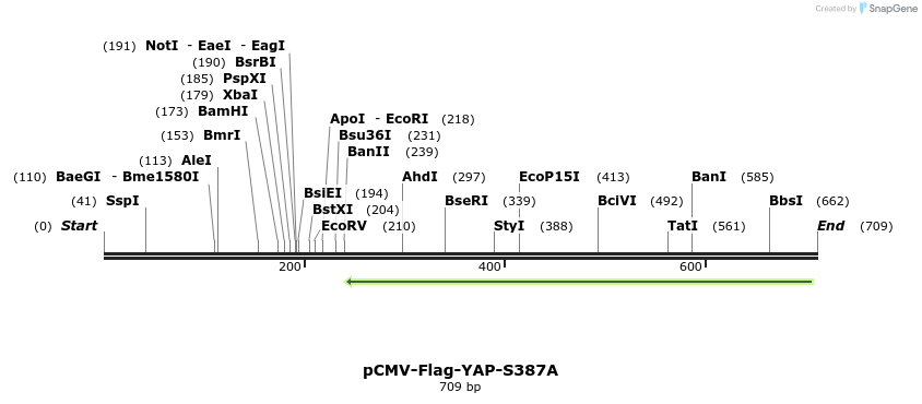 41586_map