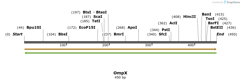 415879_map