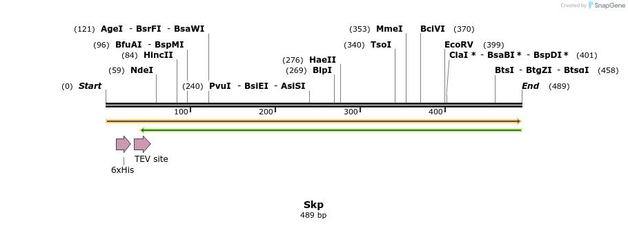 415882_map