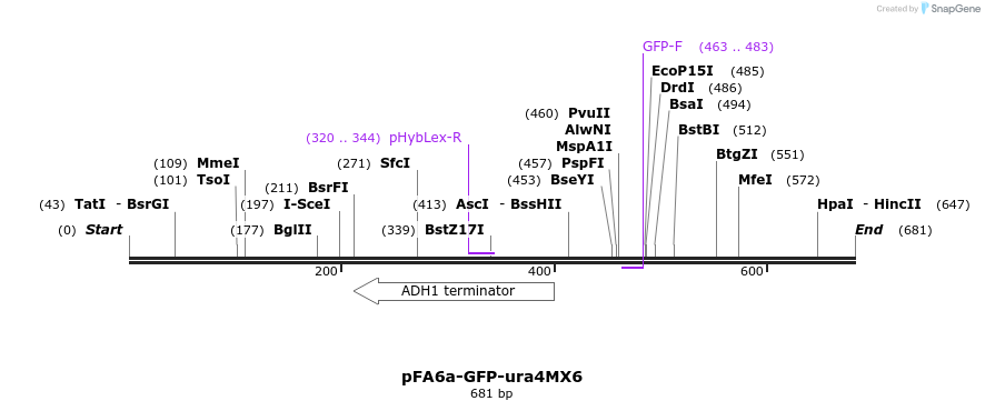 41590_map