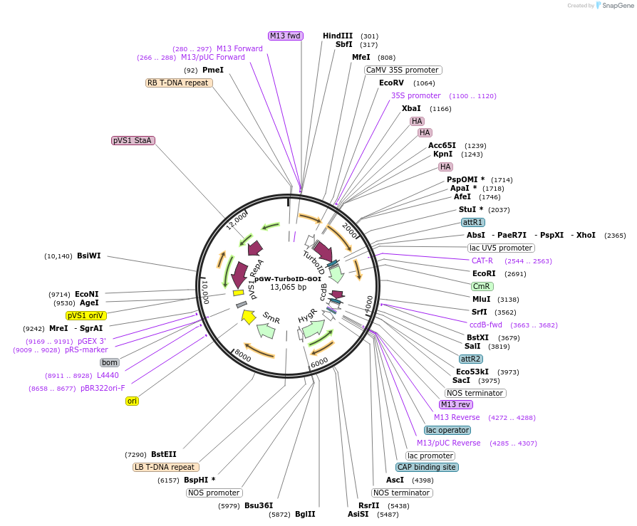 415920_map