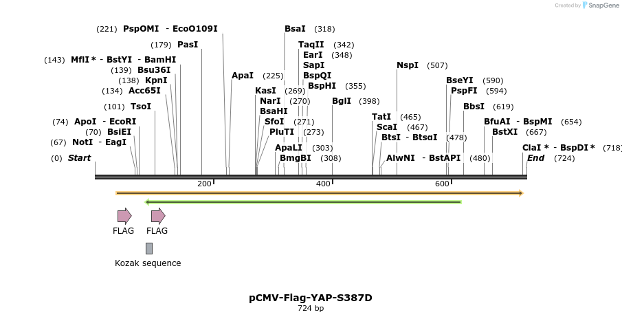 41598_map