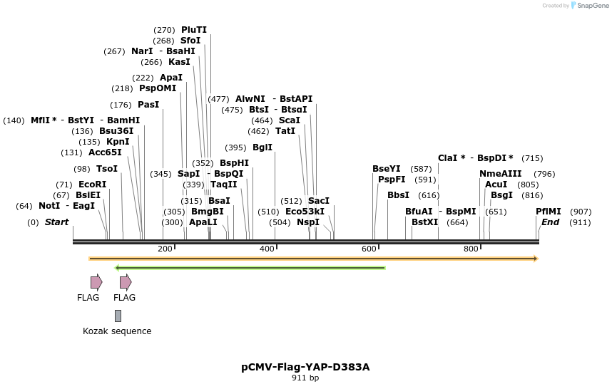 41600_map