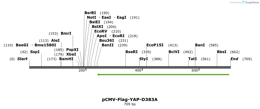 41601_map