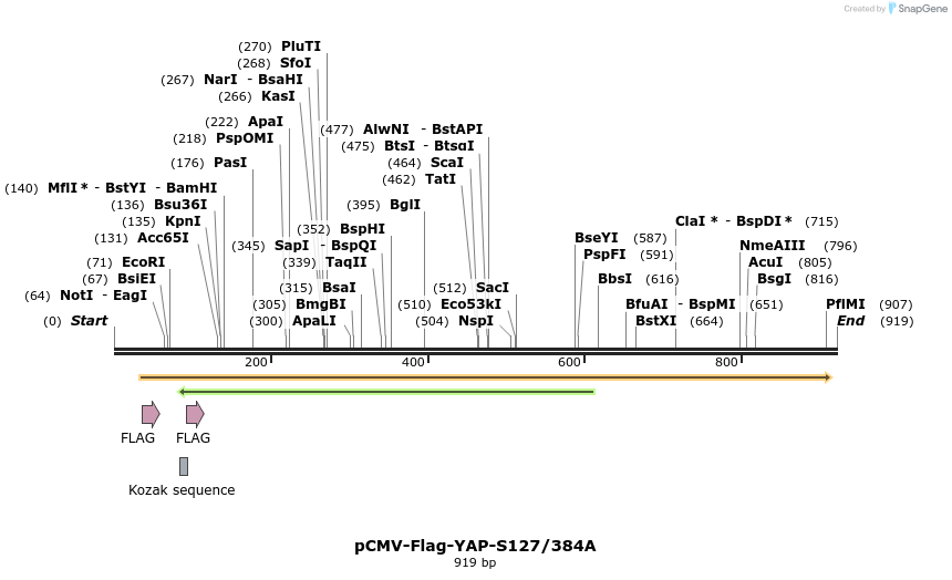 41604_map