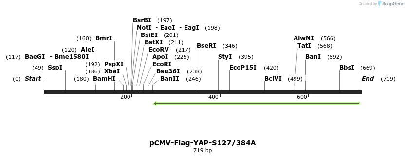 41606_map