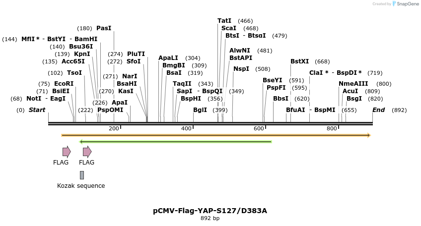 41607_map