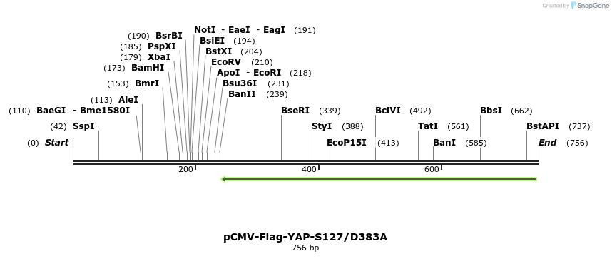 41608_map