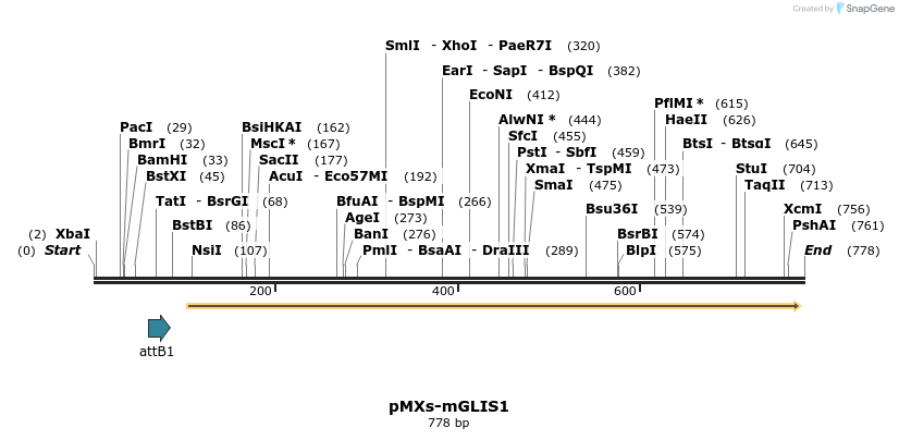 41613_map