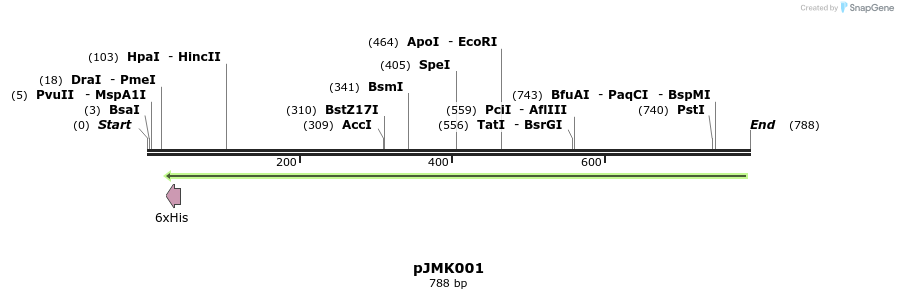 41616_map