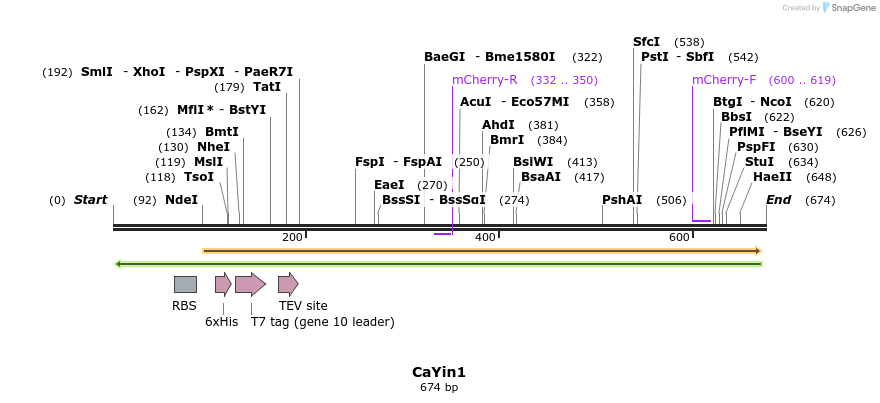 41618_map