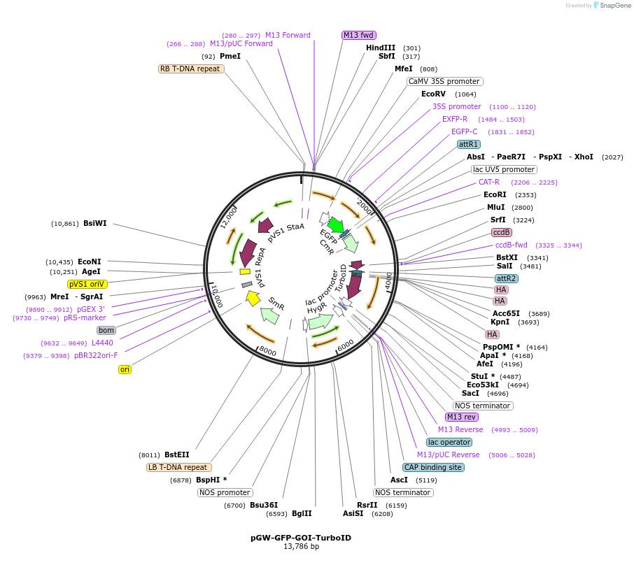 416189_map