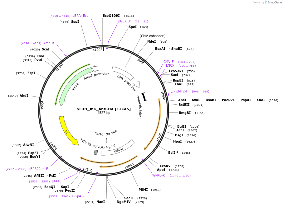 416222_map