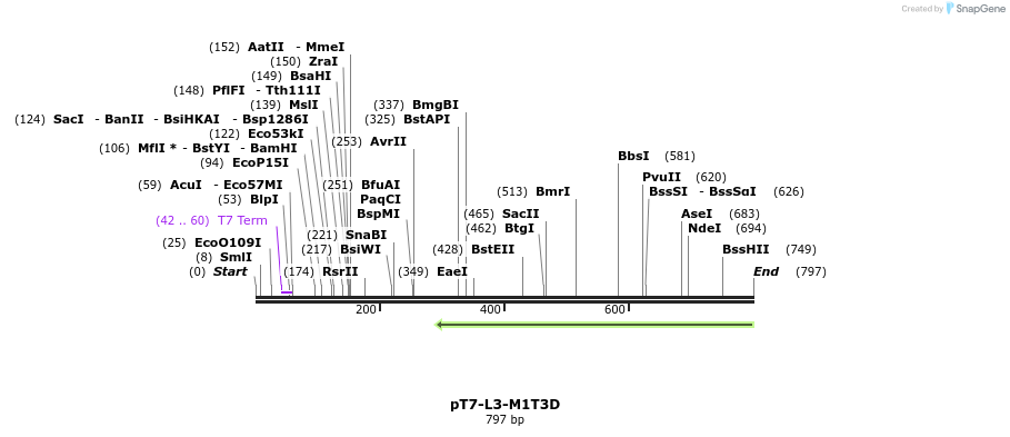 41629_map