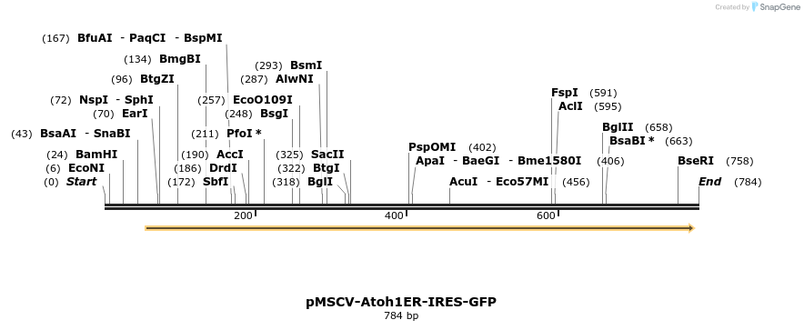 41630_map