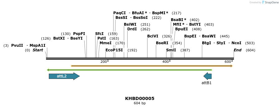 41632_map