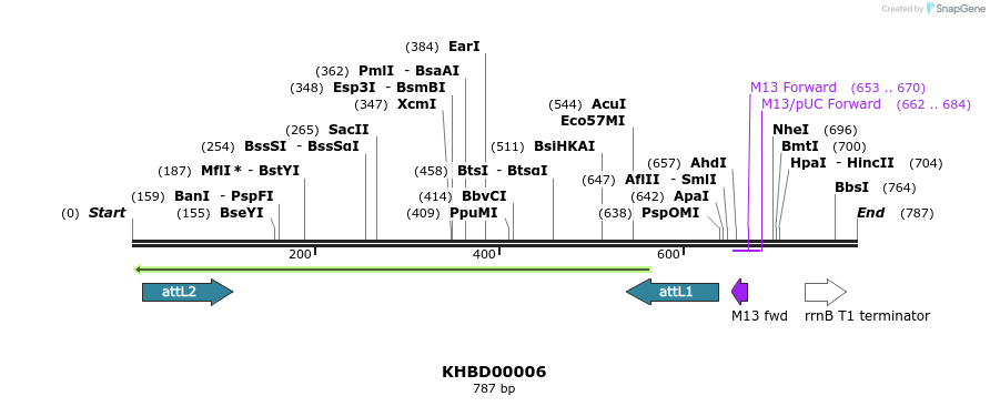 41633_map