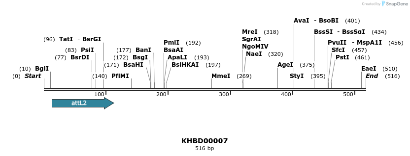 41634_map