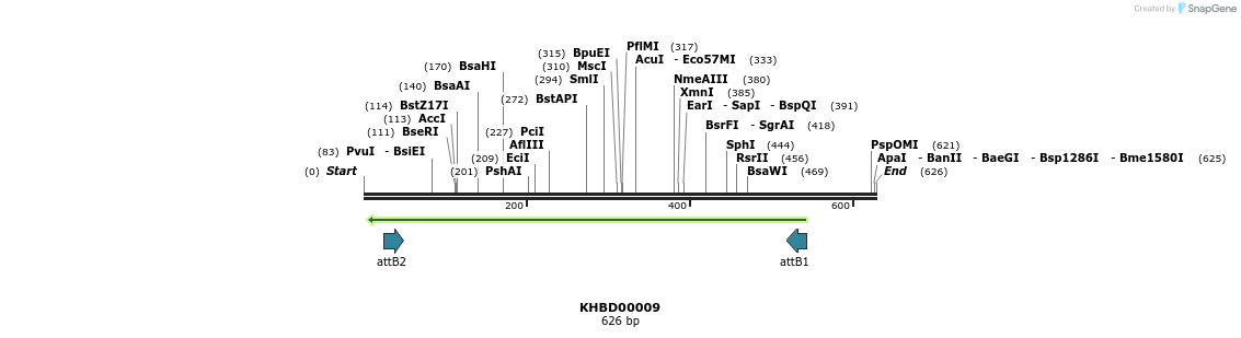 41636_map