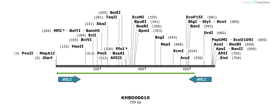 41637_map
