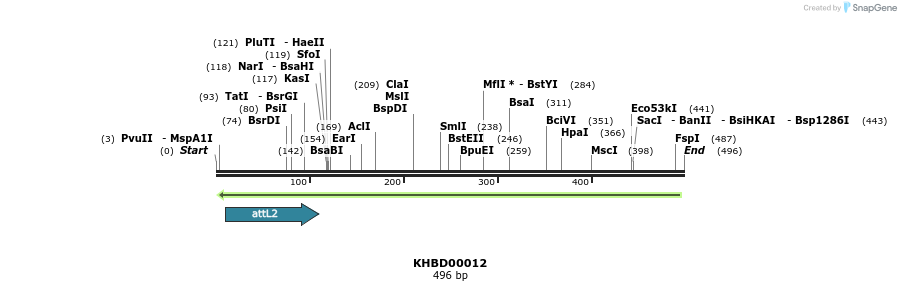 41638_map