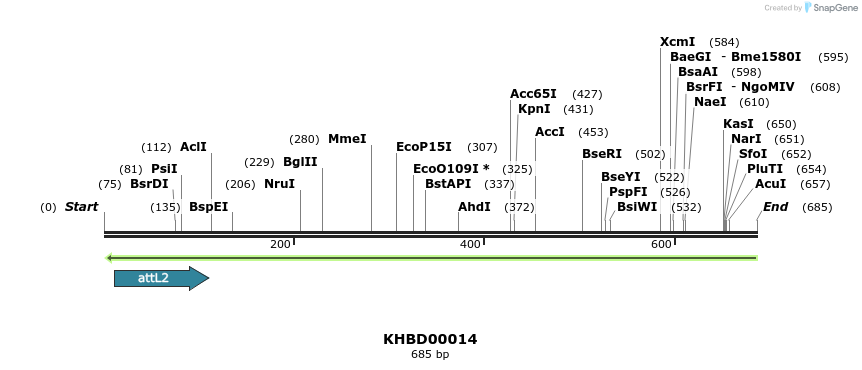 41640_map