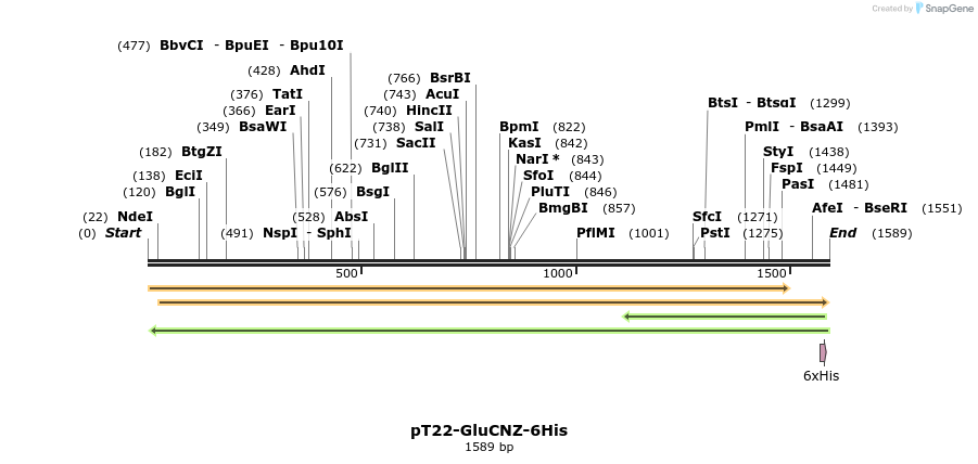 416439_map
