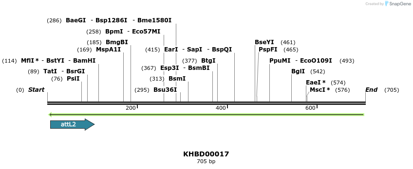 41648_map