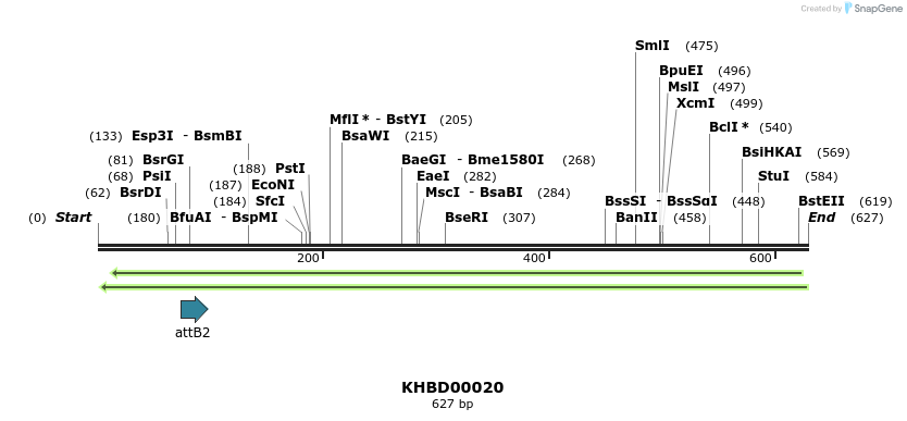 41650_map