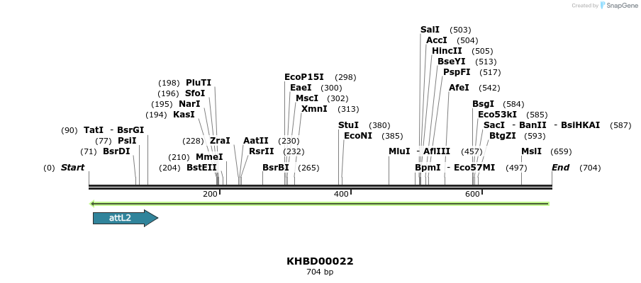 41656_map