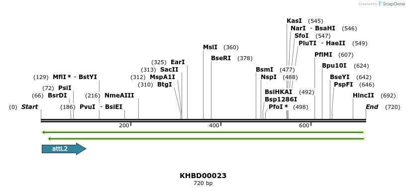 41657_map
