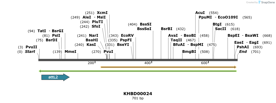41658_map